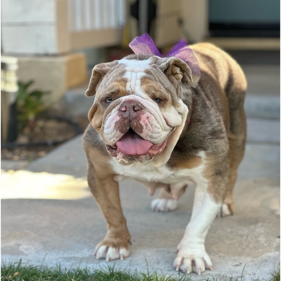 Meet your Buyer / Seller 🌿💖💖💖 - Picture 16 of 16